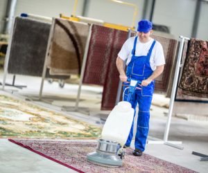 Worker cleaning vacuum cleaner  carpets
