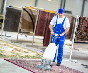 Worker cleaning vacuum cleaner carpets